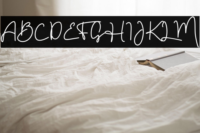 Kiddos Handmade Script Example 2