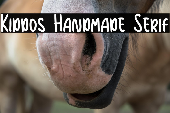Kiddos Handmade Serif Example 2