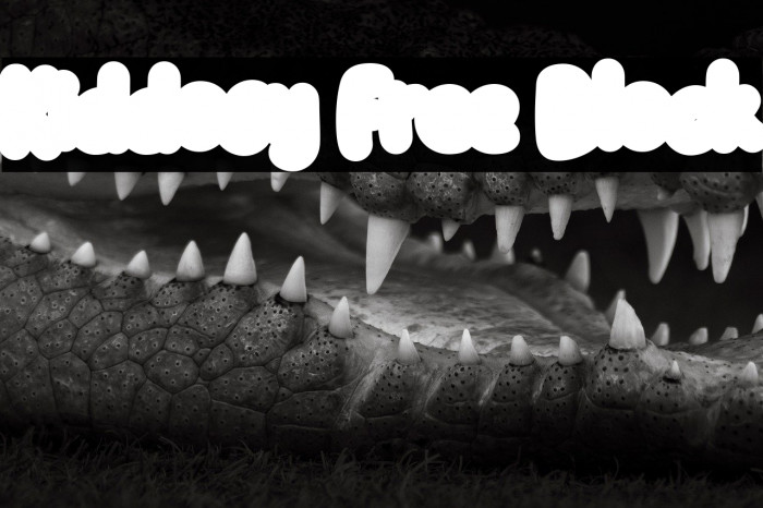 Kiddosy Free Block Example 2