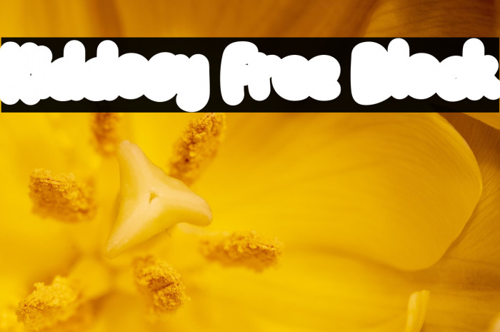 Kiddosy Free Block Example 3