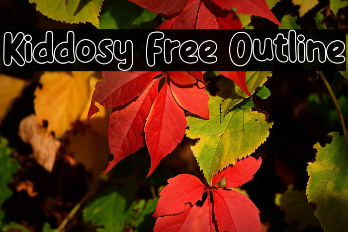 Kiddosy Free Outline Example 1