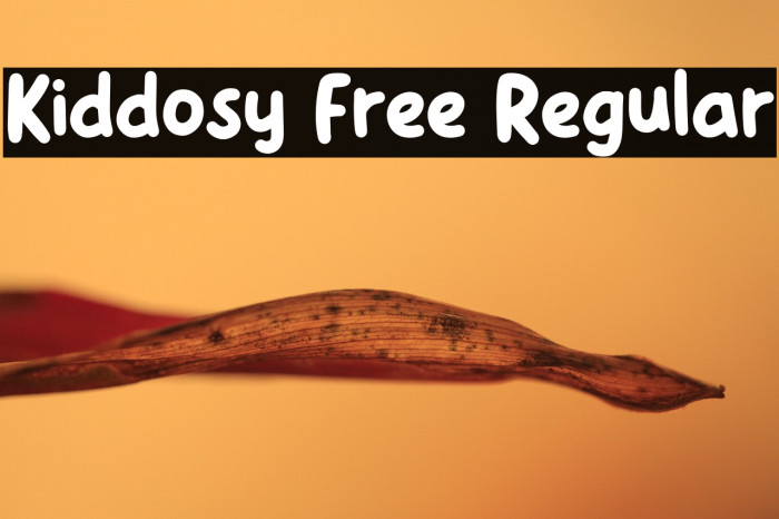 Kiddosy Free Regular Example 2