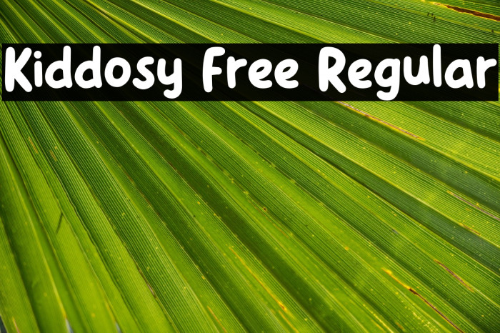 Kiddosy Free Regular Example 3