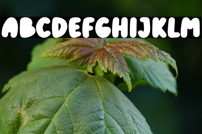 KiddosyFree-Block Example 2