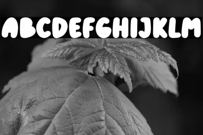 KiddosyFree-Block Font examples