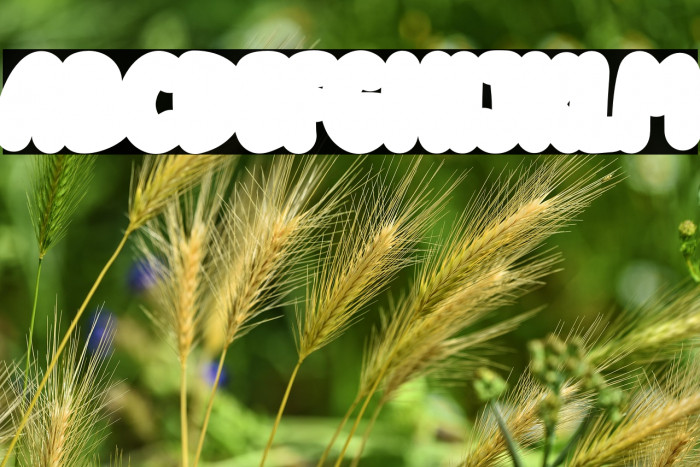 KiddosyFree-Block Example 1