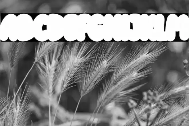 KiddosyFree-Block Font examples