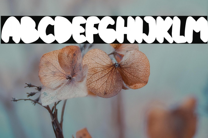 KiddosyFree-ExtrudeRight Example 1