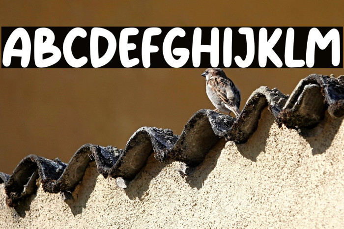 KiddosyFree-Regular Example 1