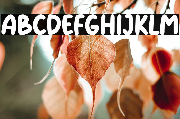 KiddosyFree-Regular Example 2