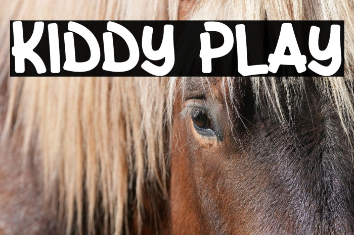 Kiddy Play Example 3