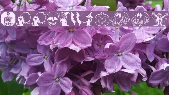 KiddyHalloween Font examples