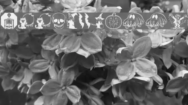 KiddyHalloween Fuentes examples