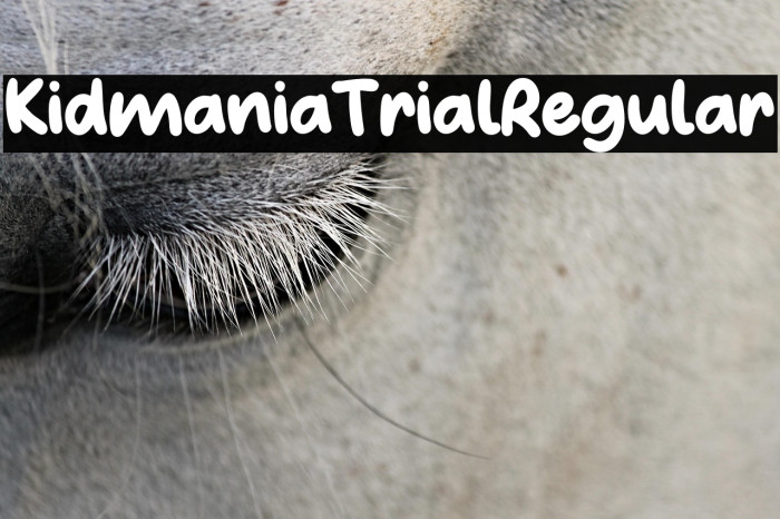 Kidmania Trial Regular Example 1