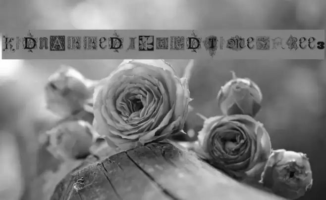 Kidnapped At Old Times Free 3 Font examples