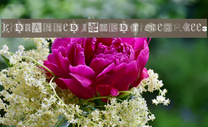 Kidnapped At Old Times Free 3 Example 3