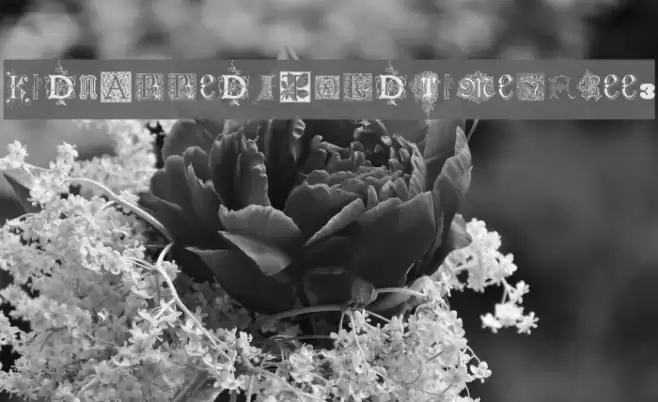 Kidnapped At Old Times Free 3 Font examples