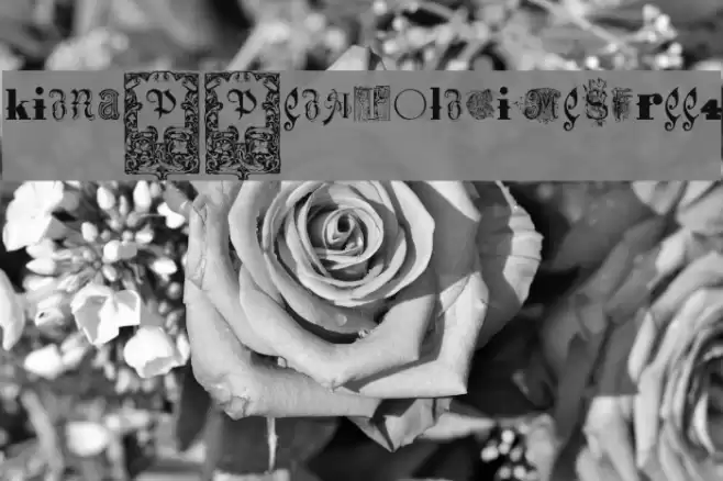 Kidnapped At Old Times Free 4 Font examples