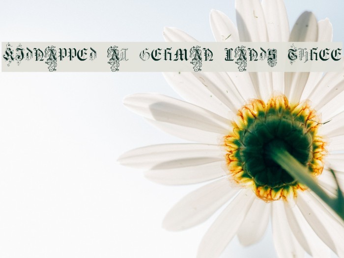 Kidnapped at German Lands Three Font examples