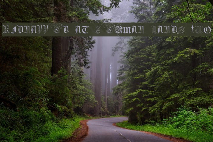 Kidnapped at German Lands Two Font examples