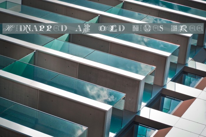 Kidnapped at Old Times Free Example 1