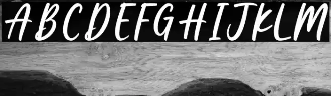 Kidness  Coffee Font examples