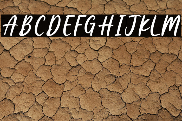 Kidness  Coffee Example 2