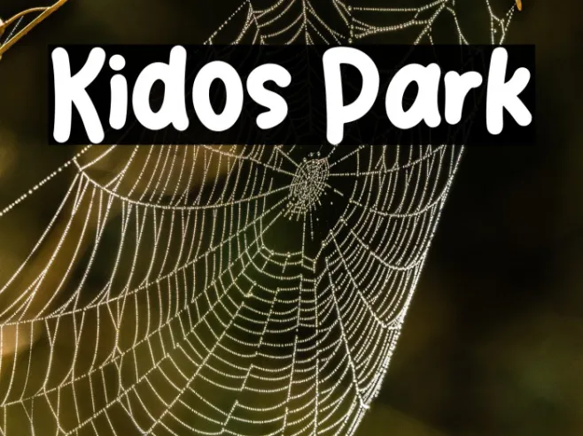 Kidos Park Example 1