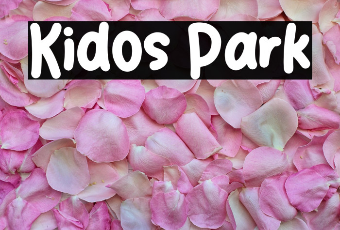 Kidos Park Example 2