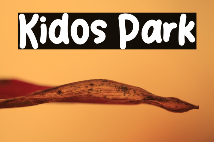 Kidos Park Example 3
