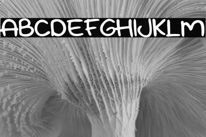 Kidplay Font examples