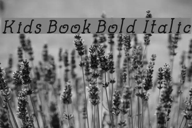 Kids Book Bold Italic Font examples