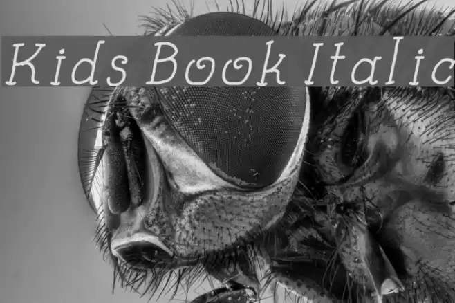 Kids Book Italic Font examples