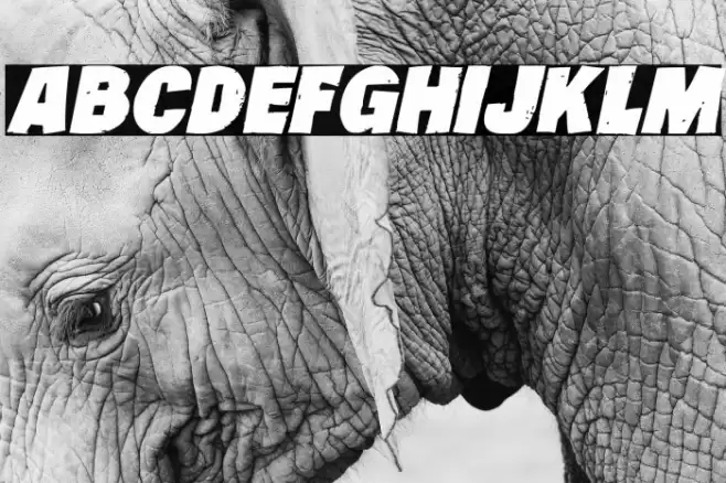 Kids Club House Italic Caratteri examples