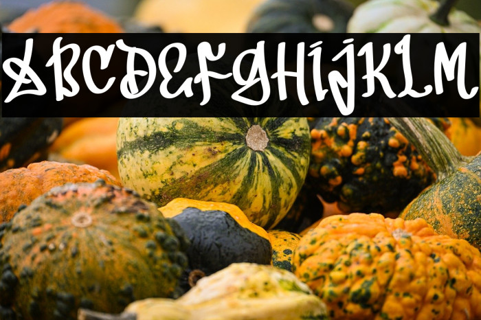 Kids Designer Example 2