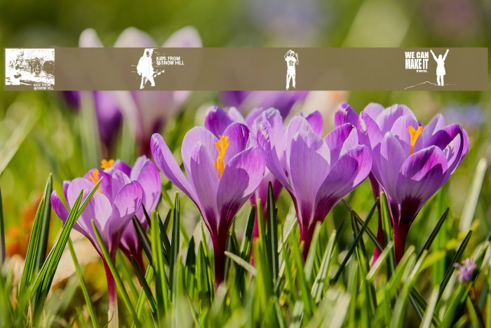 Kids From Snow Hill Example 3