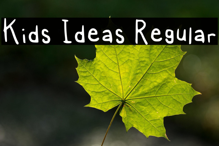 Kids Ideas Regular Example 1