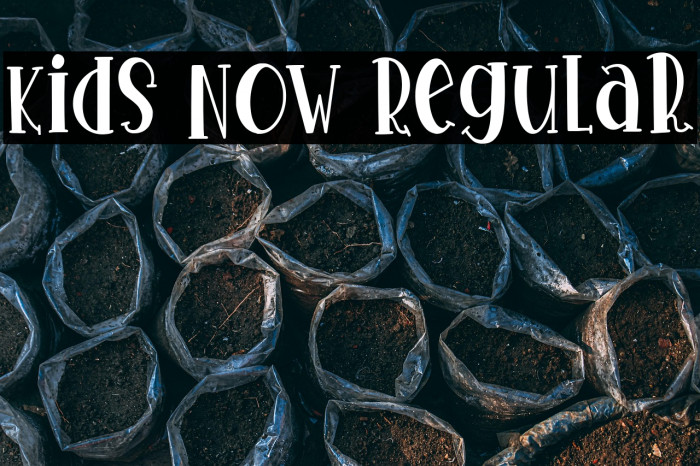 Kids Now Regular Example 2