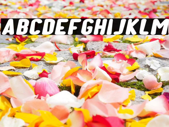 Kids Play Italic Example 1