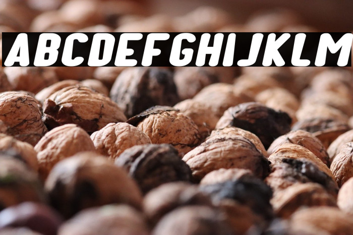 Kids Play Italic Example 2