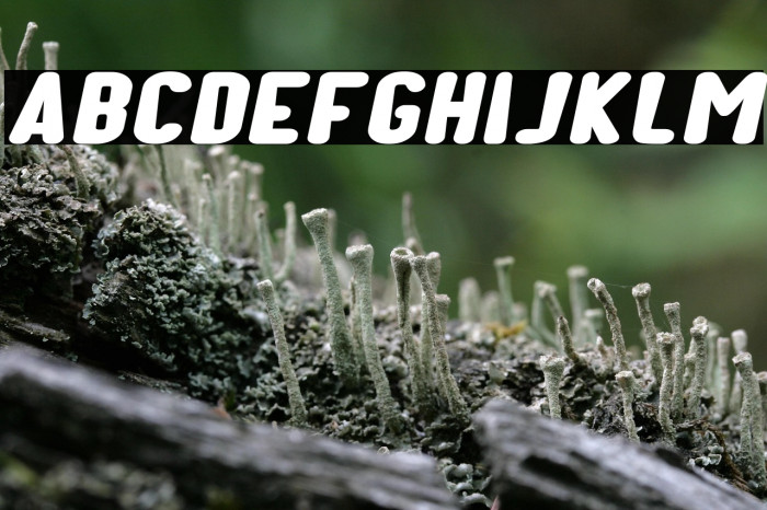 Kids Play Italic Example 3