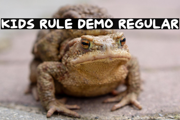 Kids Rule DEMO Regular Example 3