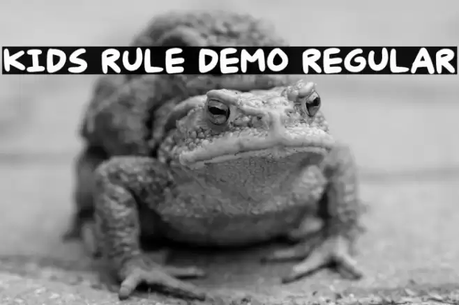 Kids Rule DEMO Regular Fuentes examples
