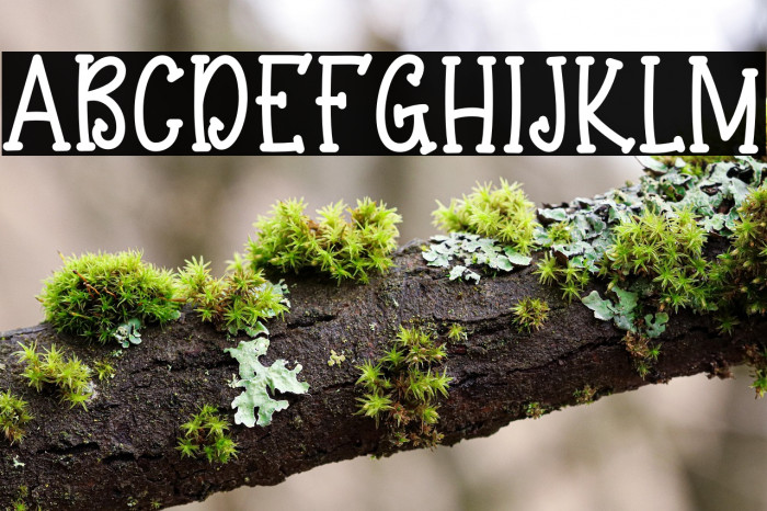 Kids Smart Example 3