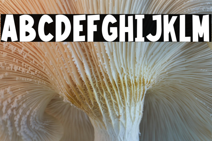 Kids Swing PERSONAL USE ONLY! Example 1