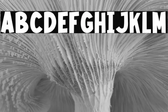 Kids Swing PERSONAL USE ONLY! Caratteri examples