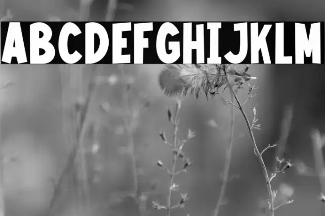 Kids Swing PERSONAL USE ONLY! Caratteri examples