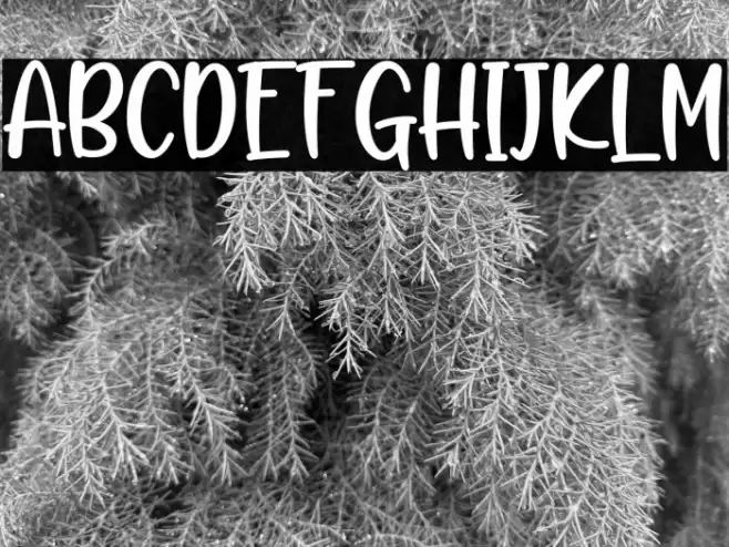 Kids Zona Font examples