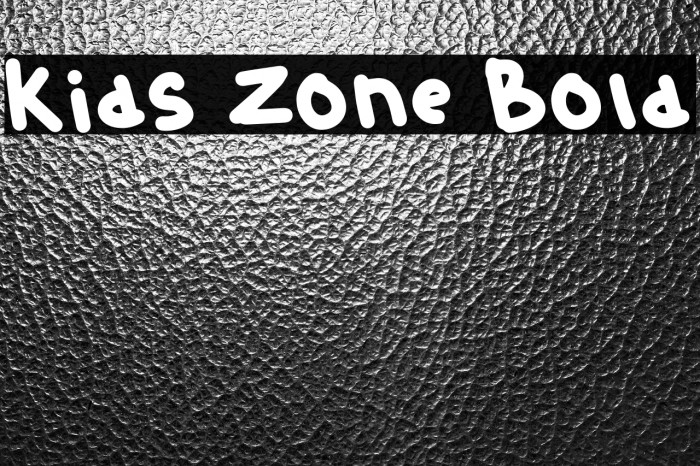 Kids Zone Bold Example 2