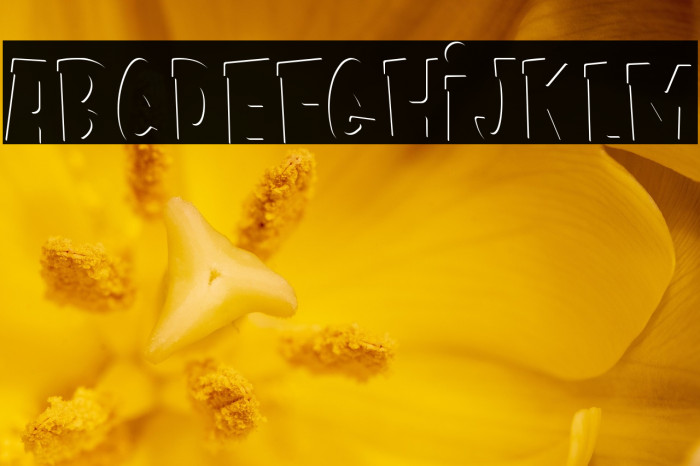 Kids Zone Inner Example 3